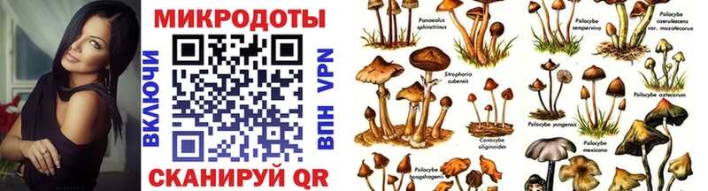 Галлюциногенные грибы мицелий  Змеиногорск 