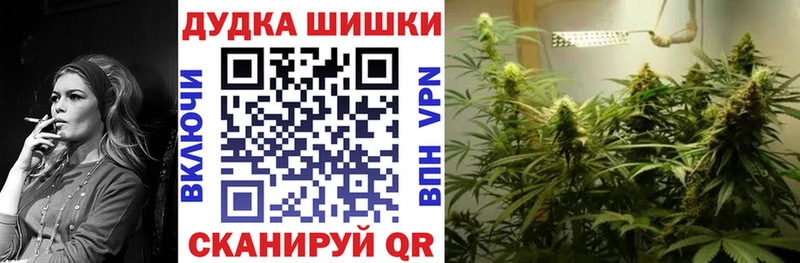 shop как зайти  Змеиногорск  Бошки Шишки гибрид 